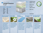 Dreamstar 14" Sierra Eurotop Mattress