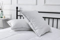 Sleep Comfort Poly Pillows
