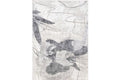 Aqua 10564A GREY Area Rug