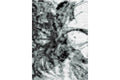 Boston Boston P841A WHITE-DUCK EGG Area Rug