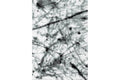 Boston P844A WHITE-DUCK EGG Area Rug