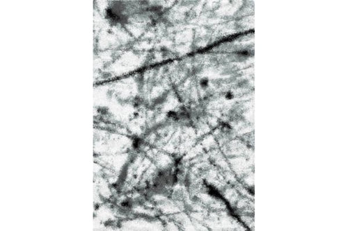 Boston P844A WHITE-DUCK EGG Area Rug