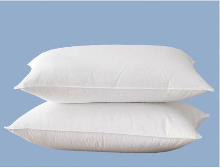 Twin Duck Down/Feather Pillow