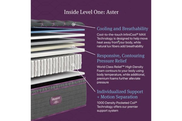 Simmons Beautyrest World Class 15" Asteris Plush Pillow Top Mattress