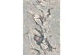 Lapaz Grey Swirl Area Rug