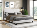 IFDC IF-5582 Beige Platform Bed  – Double, Queen or King