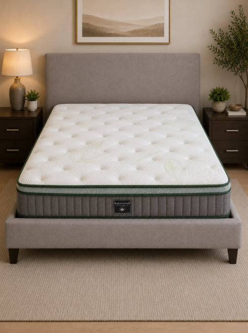 DreamStar Classic EuroTop 10" Medium Mattress-in-a-Box