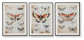 Jossletts - Wall Art Set (Set of 3) - Orange / Black / Ivory