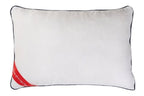 All Season Memory Foam Pillow