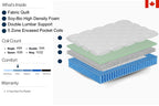 DreamStar Classic EuroTop 10" Medium Mattress-in-a-Box