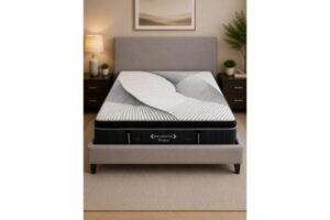 Dreamstar Windsor EuroTop Mattress