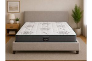 DreamStar Oasis Bliss Mattress in a Box