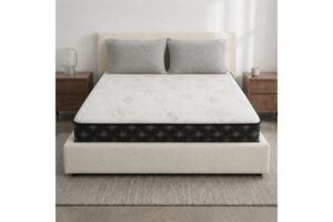 Restonit Dream Mattress