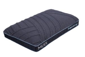 MLily Power Cool Memory Foam Pillow