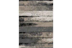 Auston P807A VIZON-ANTHRACITE Area Rug