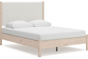 Cadmori - Upholstered Panel Bed
