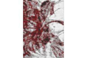 Boston P841A GREY-RED Area Rug