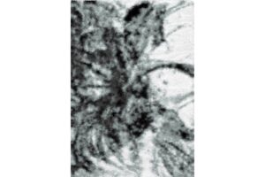 Boston Boston P841A WHITE-DUCK EGG Area Rug