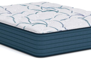 Limited Edition Plush 3.0 - Queen Mattress - White
