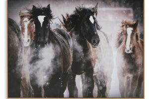 Chaseburn - Wall Art - Brown / Black / White