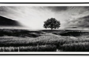 Deborland - Wall Art - Black / White