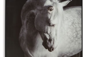 Archerwick - Wall Art - Black / White