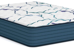 Limited Edition Firm 3.0 - Queen Mattress - White