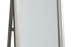Evesen - Floor Standing Mirror With Storage - Champagne