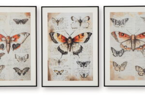 Jossletts - Wall Art Set (Set of 3) - Orange / Black / Ivory